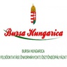 Bursa_pályázat_logo.jpg